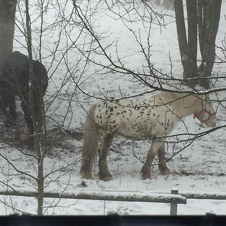 Penzion Na Sluníčku Mariánská Exterior foto
