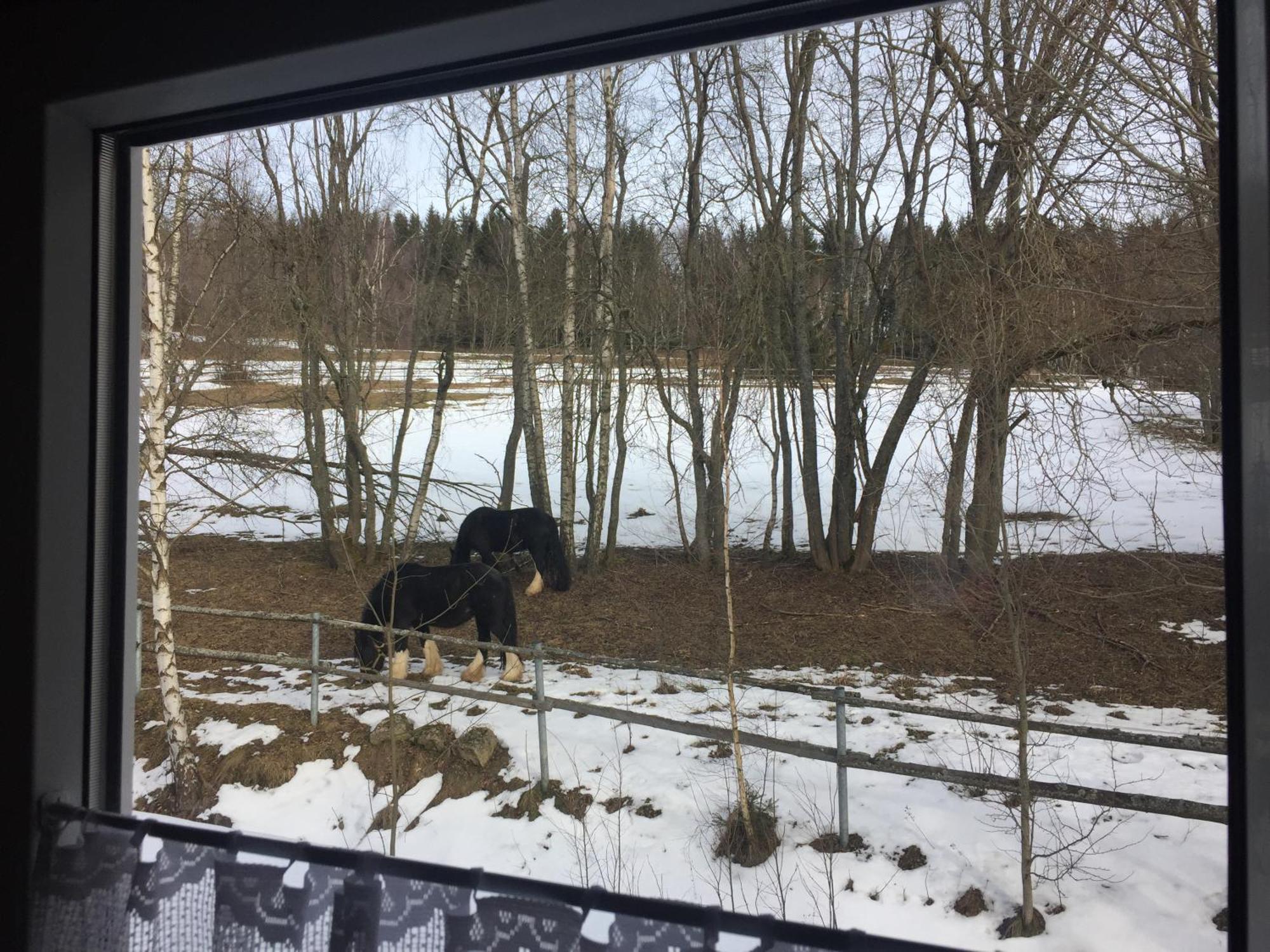 Penzion Na Sluníčku Mariánská Exterior foto