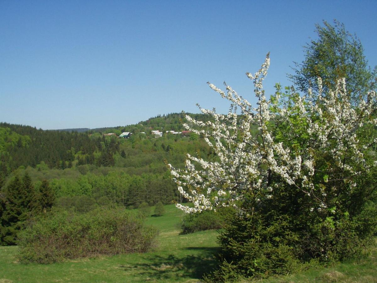 Penzion Na Sluníčku Mariánská Exterior foto